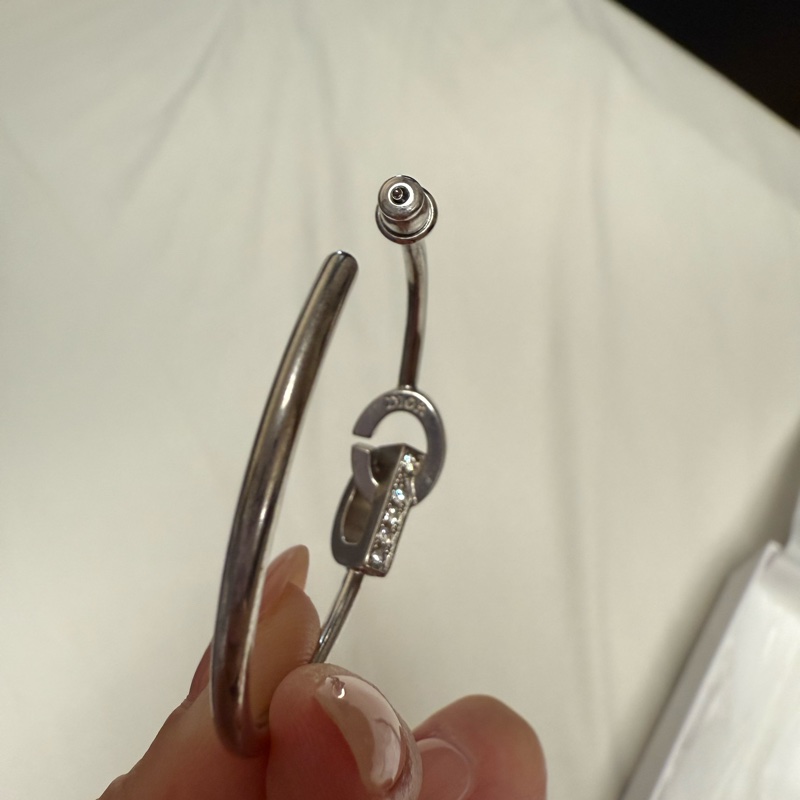 Christian Dior earrings-8