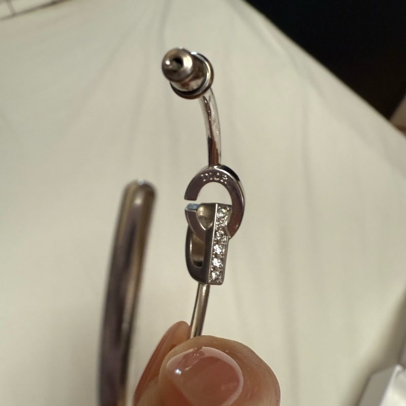 Christian Dior earrings-13