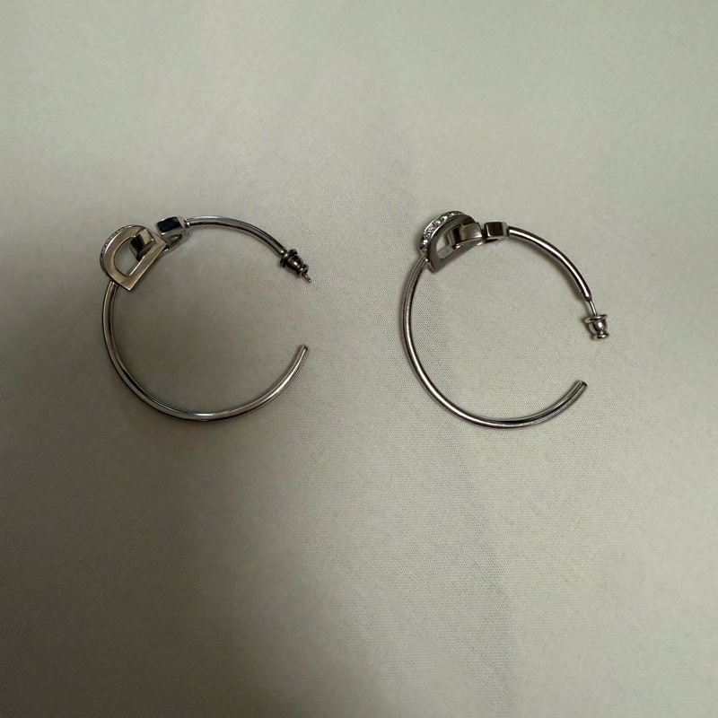 Christian Dior earrings-15