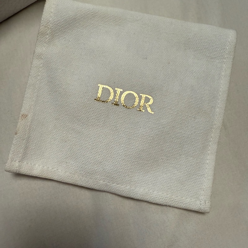 Christian Dior earrings-18