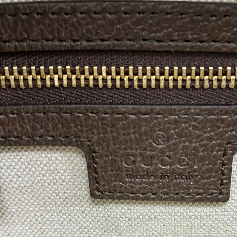 棕色 帆布 Ophidia small 肩背包【GUCCI 古馳】 722117-4
