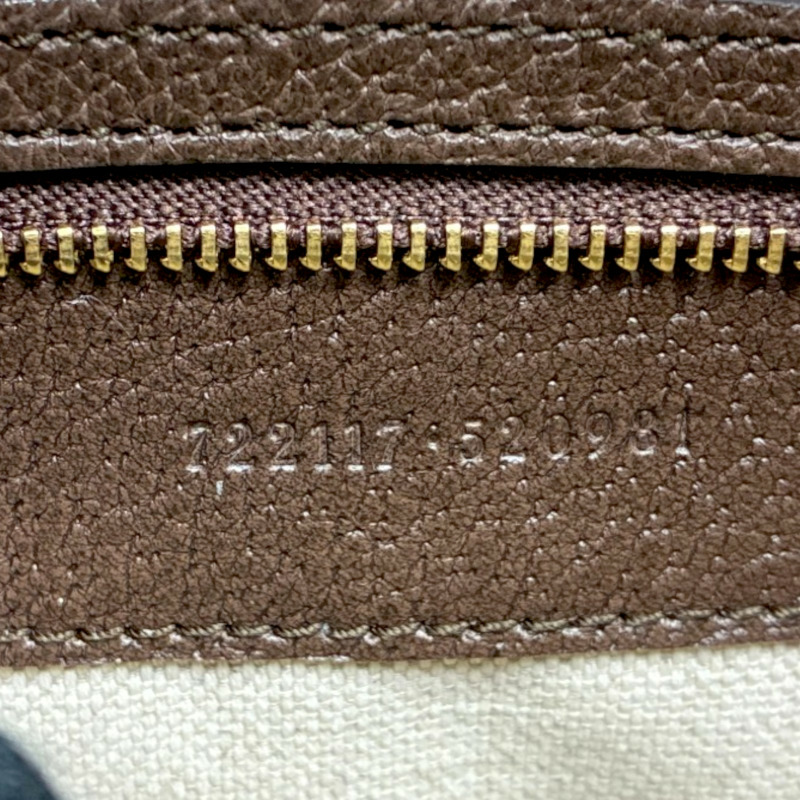 棕色 帆布 Ophidia small 肩背包【GUCCI 古馳】 722117-5
