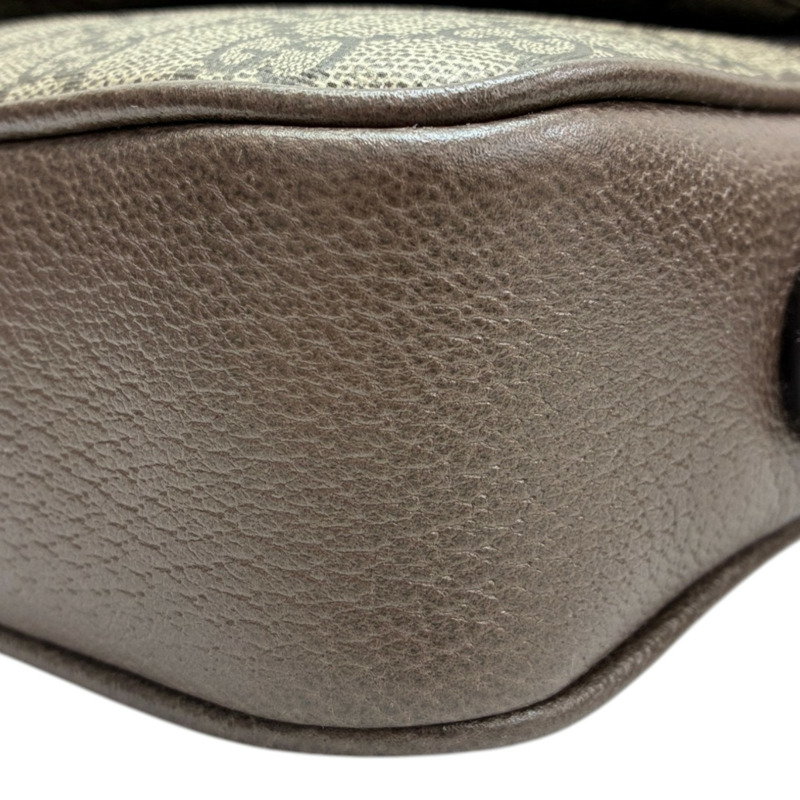 棕色 帆布 Ophidia small 肩背包【GUCCI 古馳】 722117-9
