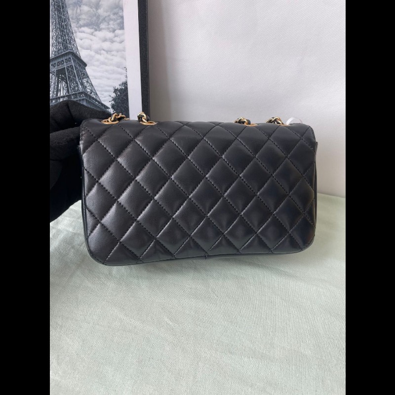 Chanel double Flap bag-3