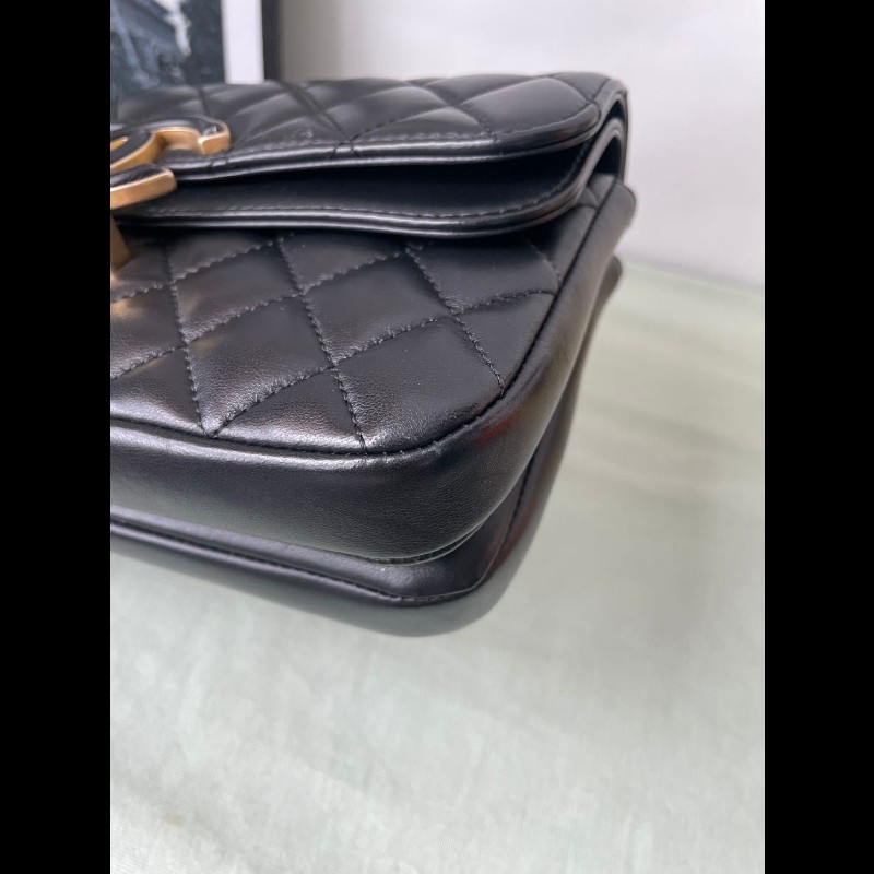 Chanel double Flap bag-6
