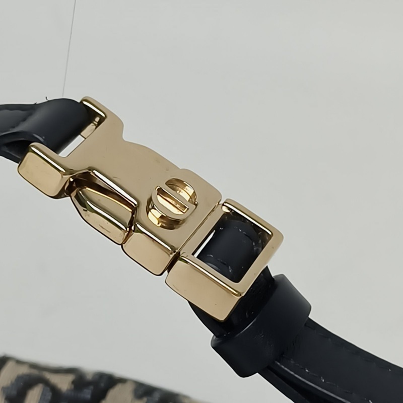 DIOR Nomad飯盒包中號藍色帆布金扣手提包2024-4