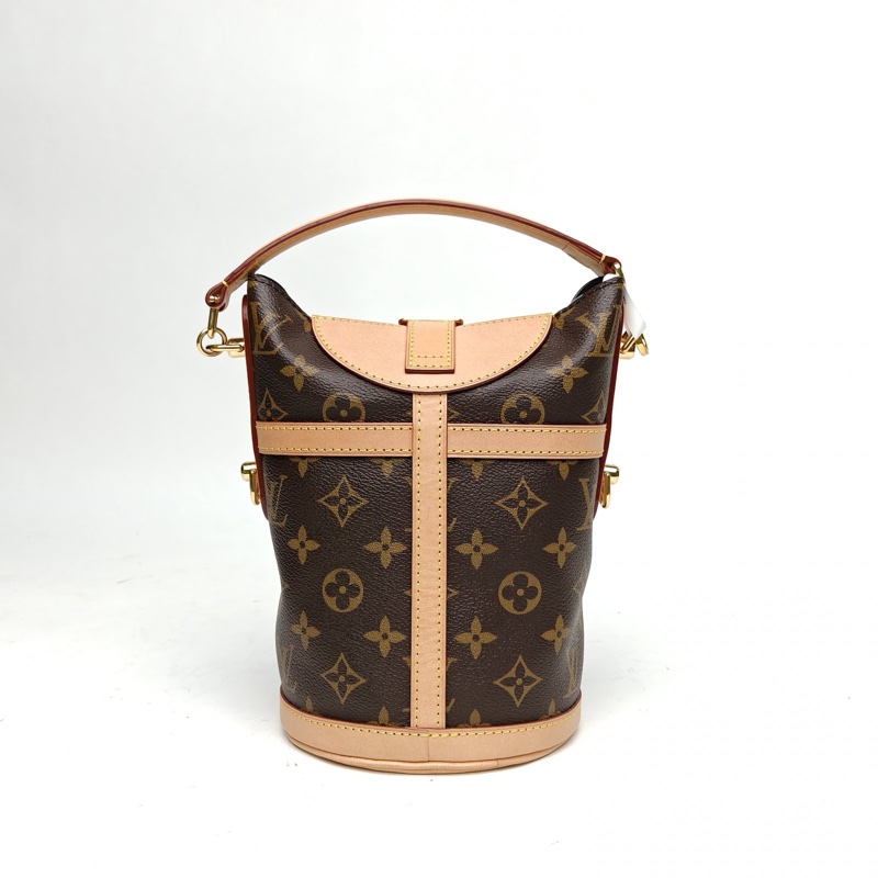 LOUIS VUITTON DUFFLE薯條包老花PVC金扣2020肩背包-2