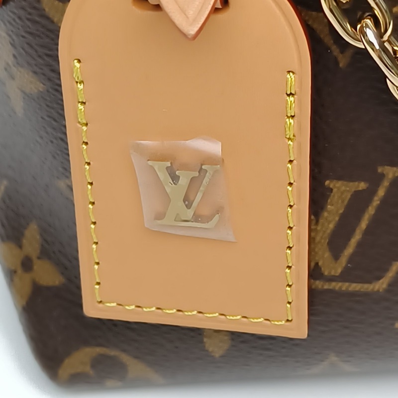 LOUIS VUITTON CARRYALLBB老花PVC金扣晶片肩背包-4