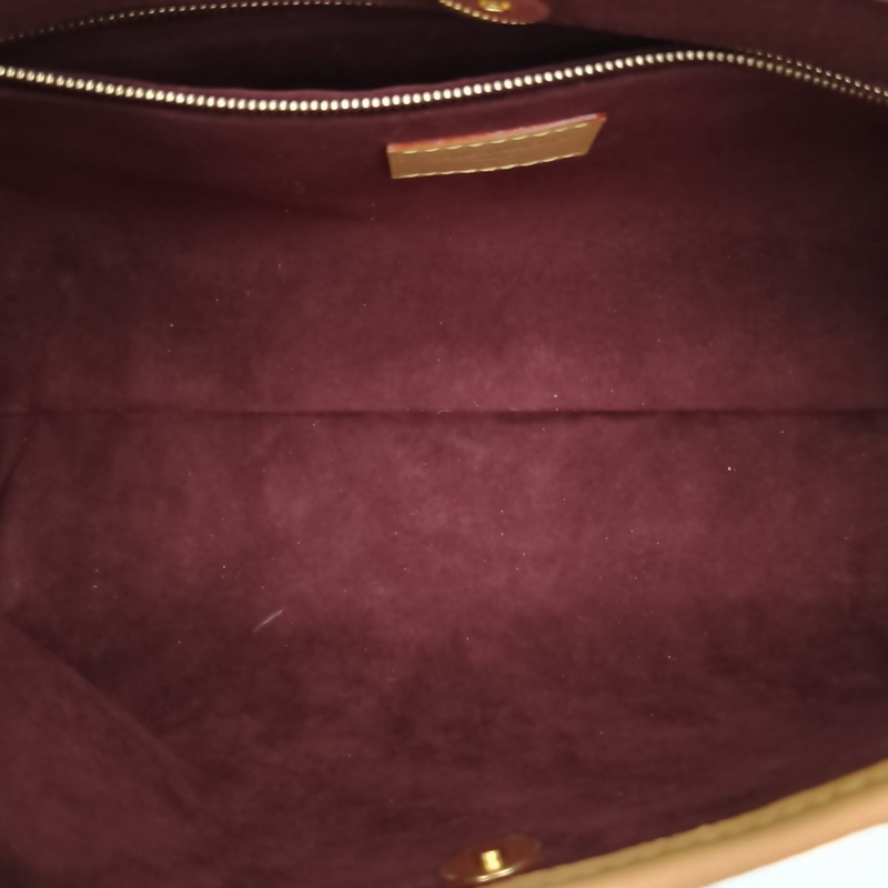 LOUIS VUITTON CARRYALLBB老花PVC金扣晶片肩背包-5