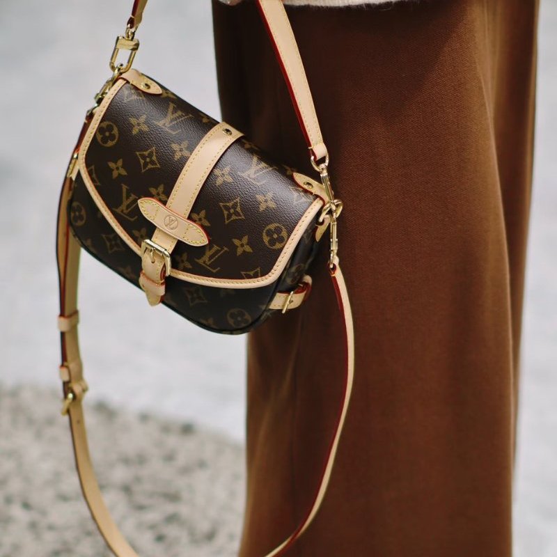 Louis Vuitton LV雙子星 Saumur BB-2