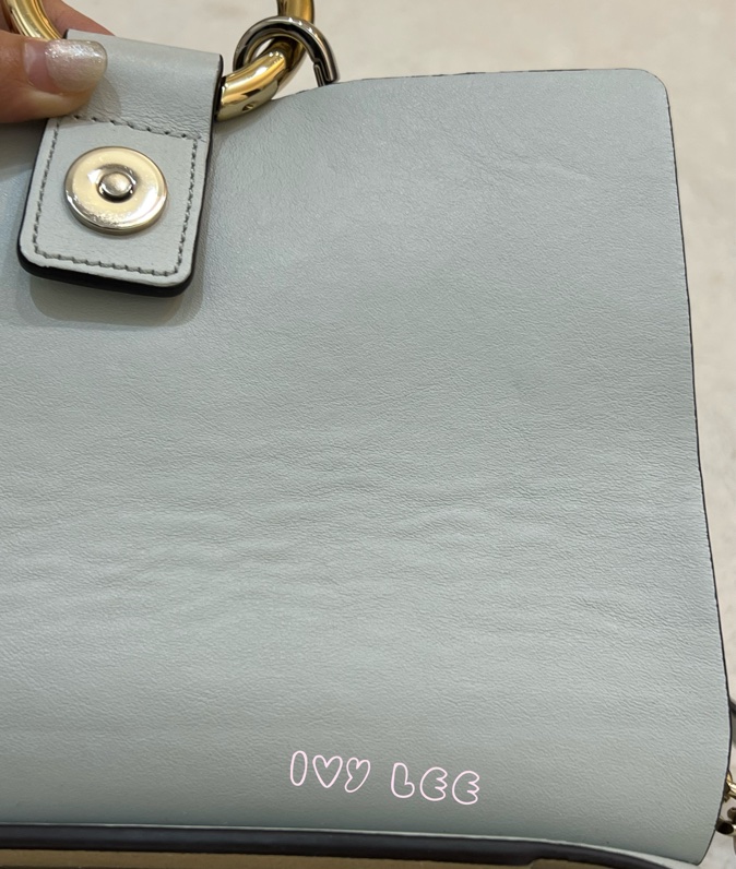 Chloé Faye 光滑小牛皮 絨面革麂皮拼接 淺灰 斜背包 肩背包 正品 二手精品-24