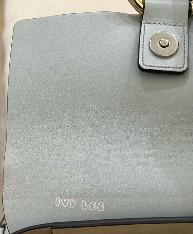 Chloé Faye 光滑小牛皮 絨面革麂皮拼接 淺灰 斜背包 肩背包 正品 二手精品-25