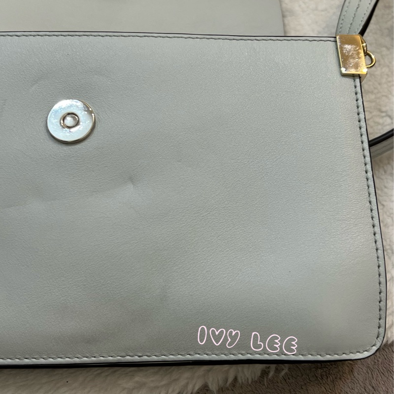 Chloé Faye 光滑小牛皮 絨面革麂皮拼接 淺灰 斜背包 肩背包 正品 二手精品-27