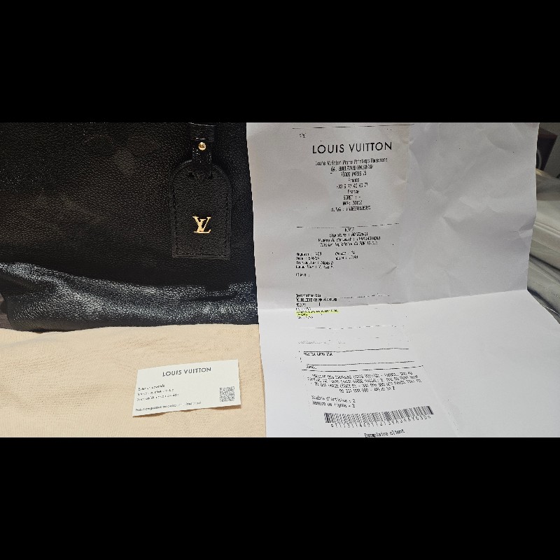 LV CarryAll PM 全新未背出門過-0