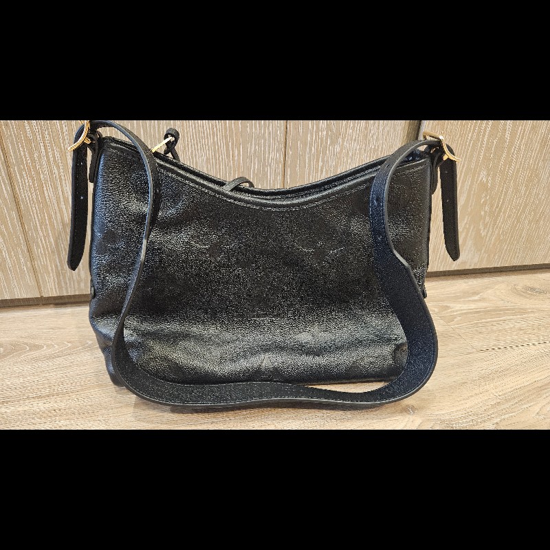 LV CarryAll PM 全新未背出門過-7