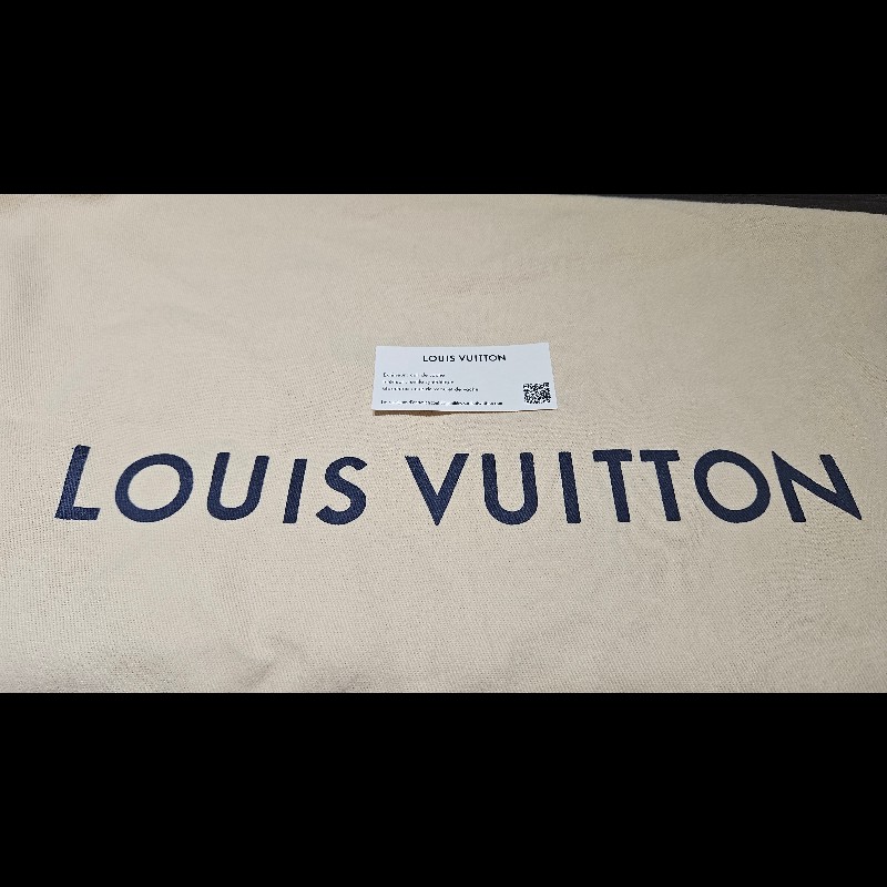 LV CarryAll PM 全新未背出門過-13