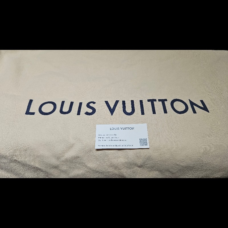 LV CarryAll PM 全新未背出門過-14