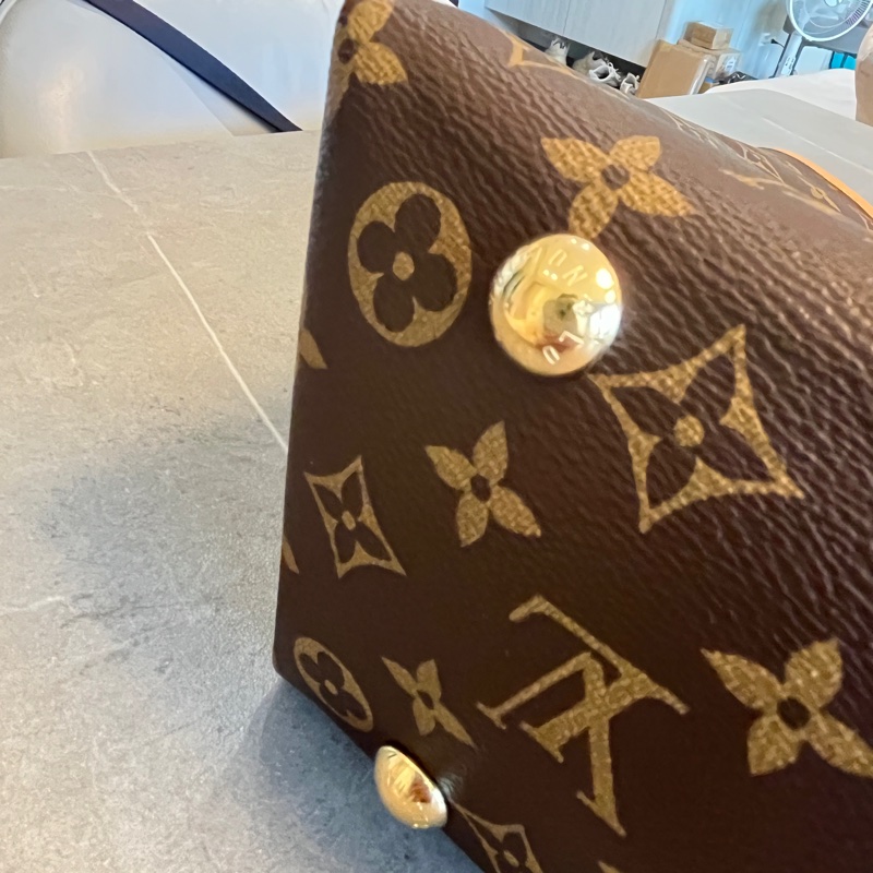 經典熱銷 LV carryall PM 晶片款 老花-5