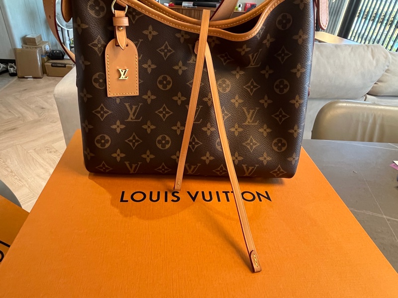 經典熱銷 LV carryall PM 晶片款 老花-9