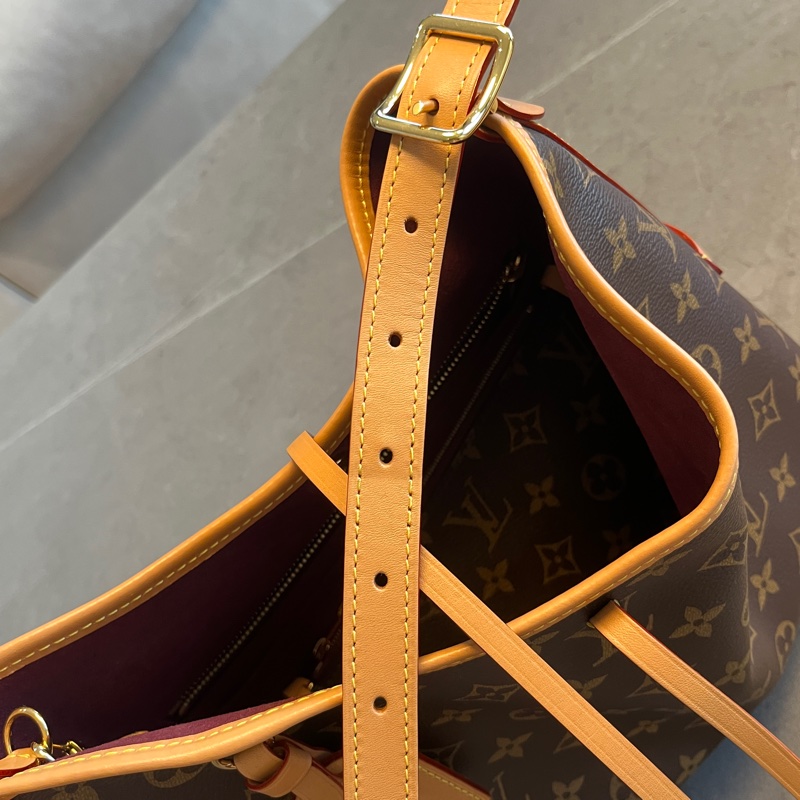 經典熱銷 LV carryall PM 晶片款 老花-33
