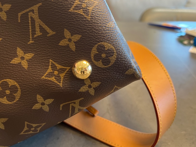經典熱銷 LV carryall PM 晶片款 老花-35