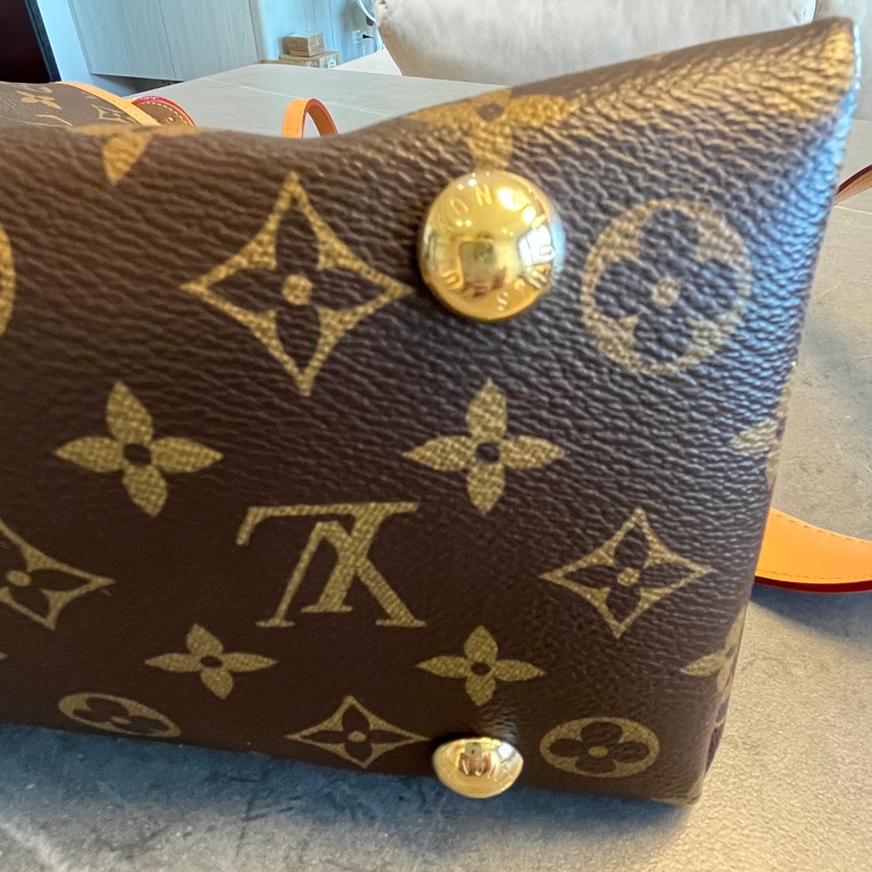 經典熱銷 LV carryall PM 晶片款 老花-36