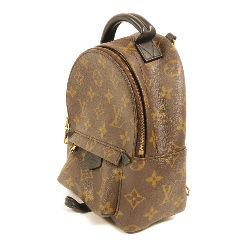 LOUIS VUITTON Monogram Palm Springs Mini Backpack金扣背包-2