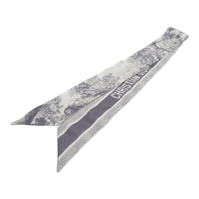 Dior 絲質Toile De Jouy Sauvage Mitzah絲巾-1
