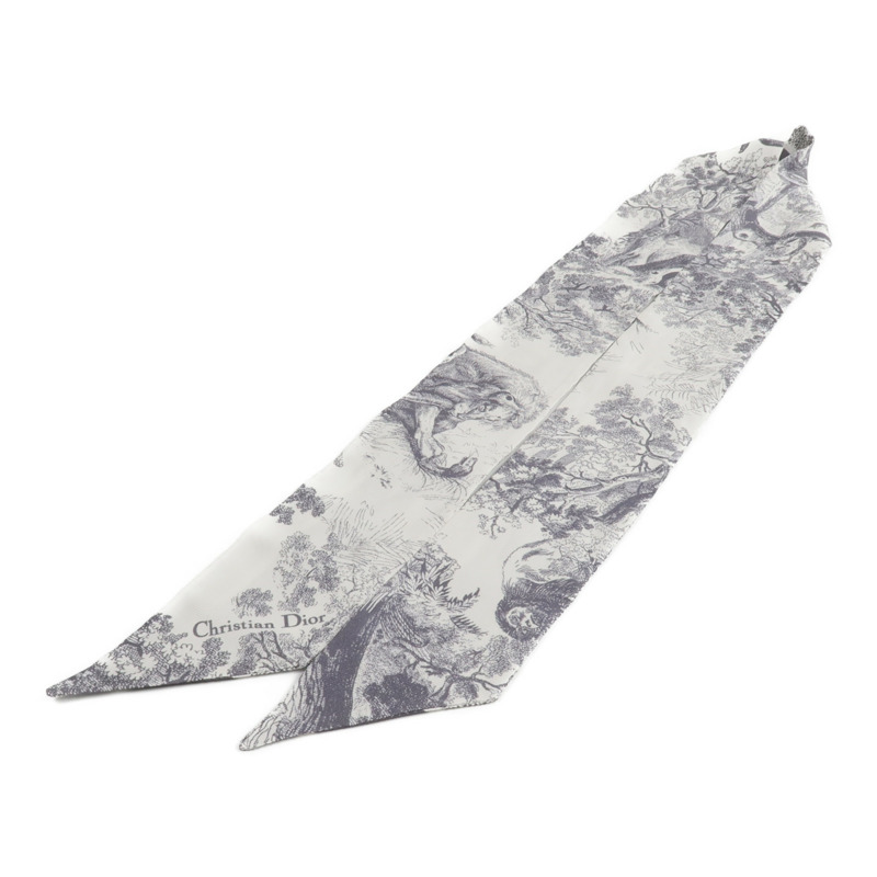 Dior 絲質Toile De Jouy Sauvage Mitzah絲巾-2