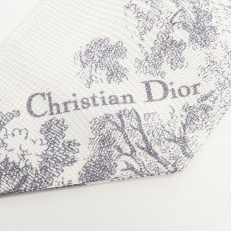 Dior 絲質Toile De Jouy Sauvage Mitzah絲巾-8