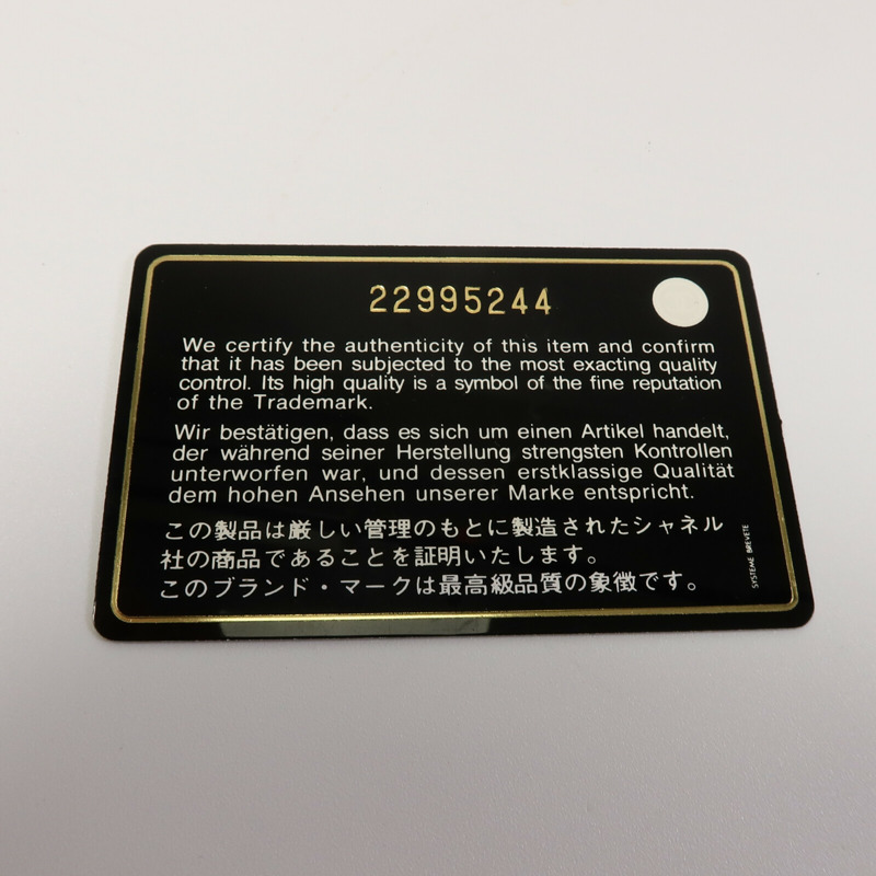 CHANEL 牛皮皮革Zipper Phone Bag鏈帶肩背袋-9