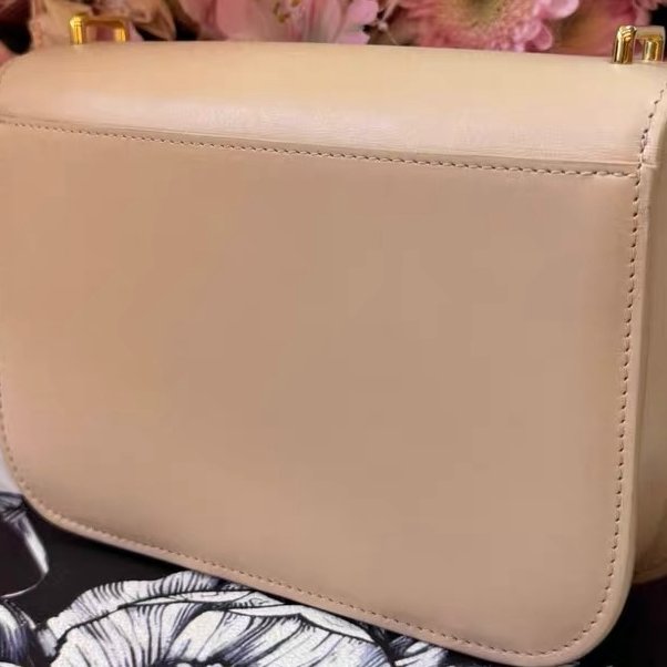 LOEWE 奶茶色金扣 細膩光面box皮 19x6x13.5cm 99新配件肩帶 塵袋-6