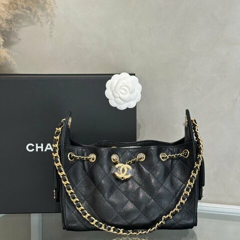 CHANEL 25 Mini Hobo Bag - 黑金