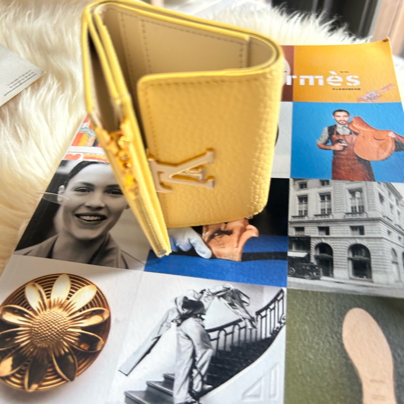 LV 日本限定色capucines wallet-2