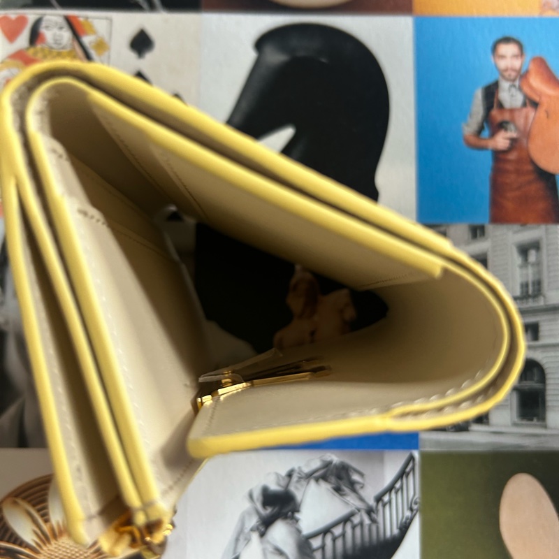 LV 日本限定色capucines wallet-3