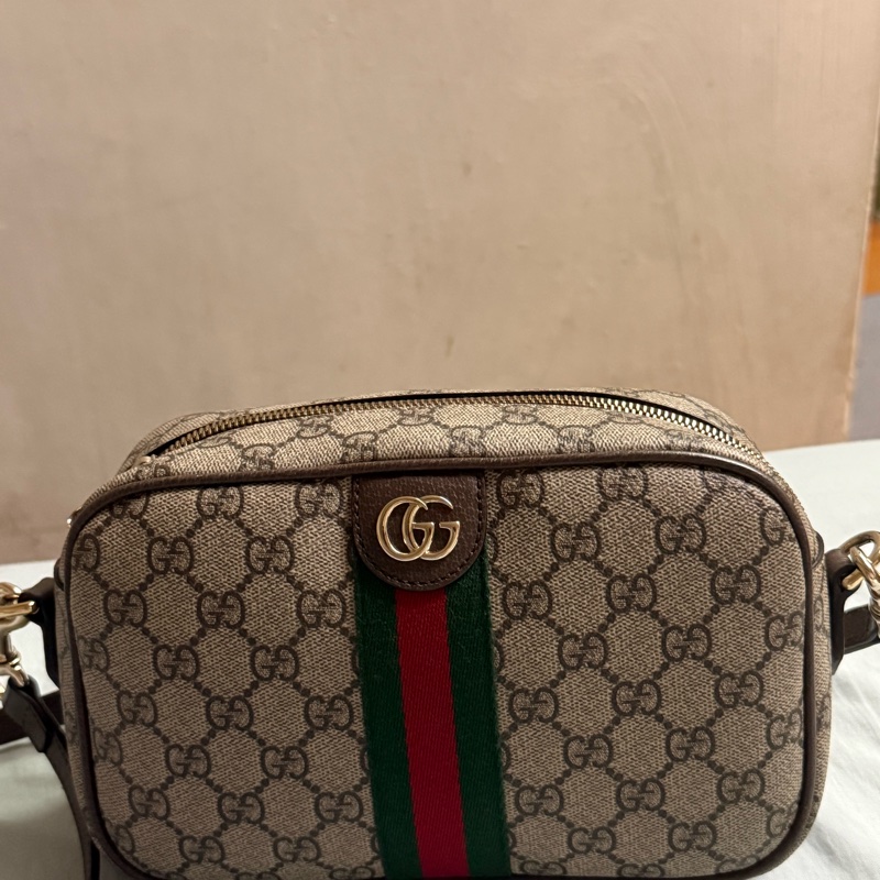 Gucci Ophidia 24cm相機包-1