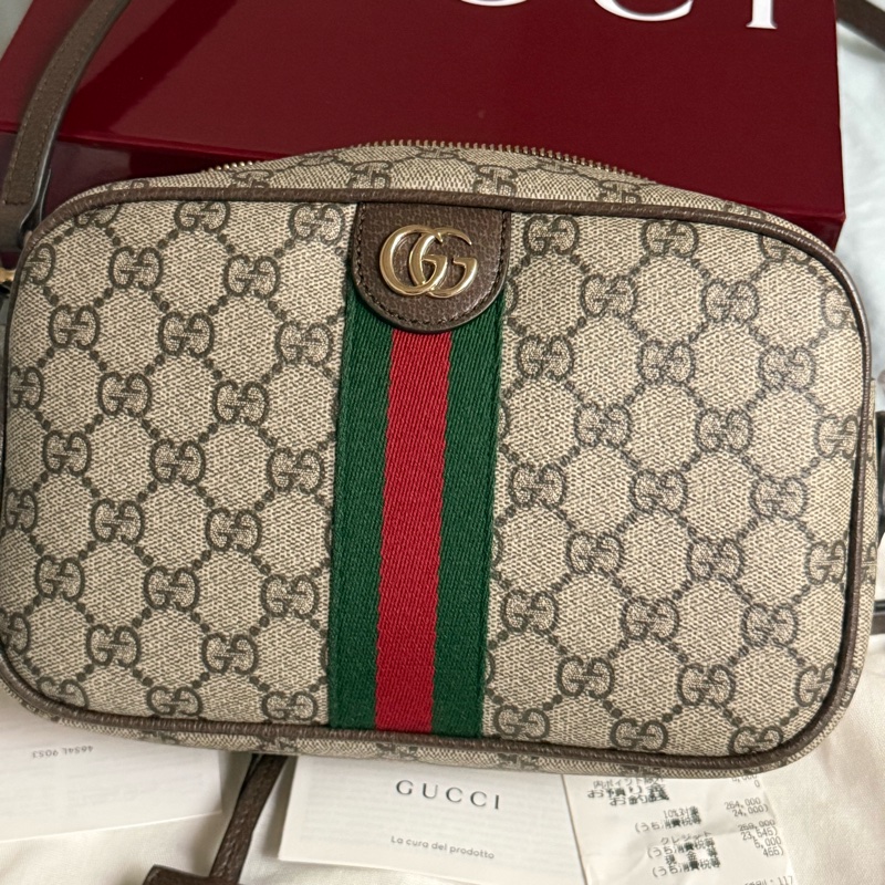 Gucci Ophidia 24cm相機包-5