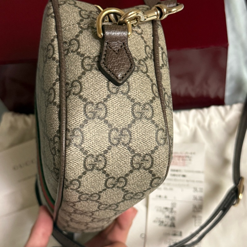 Gucci Ophidia 24cm相機包-7
