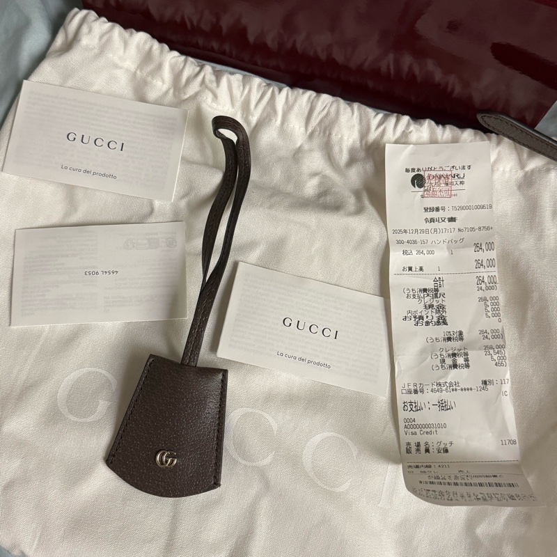 Gucci Ophidia 24cm相機包-10