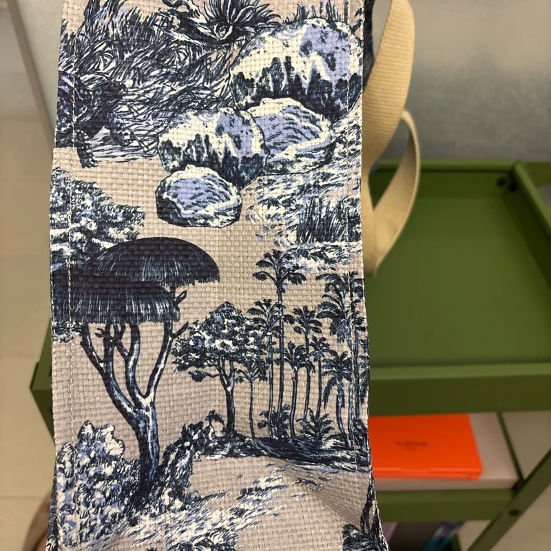 Dior shopping tote-5