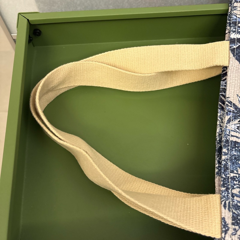 Dior shopping tote-10