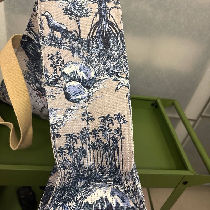 Dior shopping tote-11