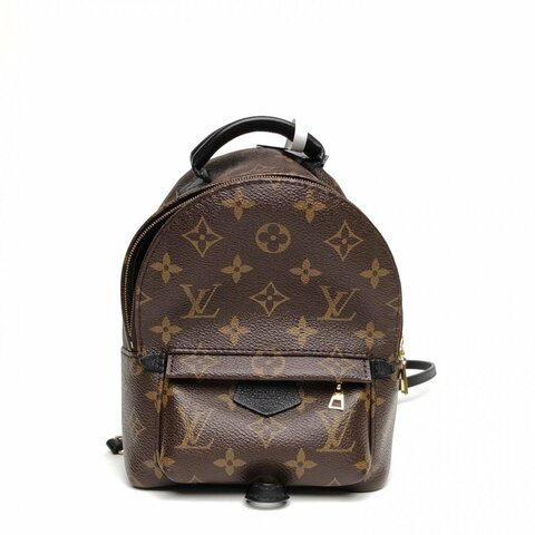 LOUIS VUITTON PalmSprings小書包Mini新款拉鏈外露老花2020肩背包