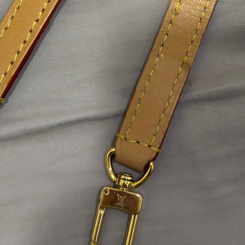 Louis Vuitton Mini Bumbag M82335-31