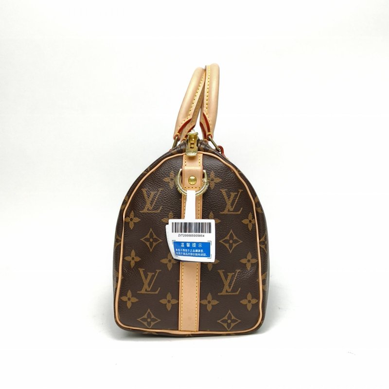 LOUIS VUITTON Sp25配肩帶老花PVC晶片肩背包-1