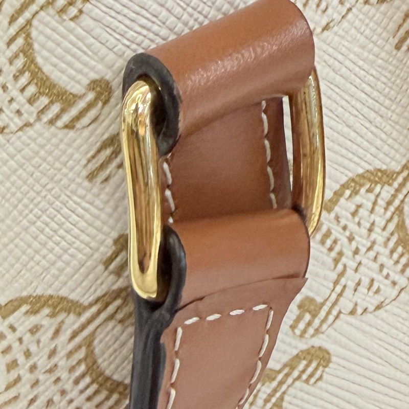 Lisa同款Celine 米白馬鞍包PVC咖牛皮邊金釦Medium folco-41