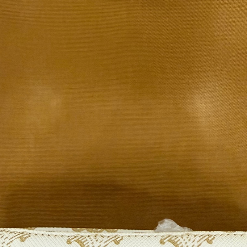 Lisa同款Celine 米白馬鞍包PVC咖牛皮邊金釦Medium folco-58