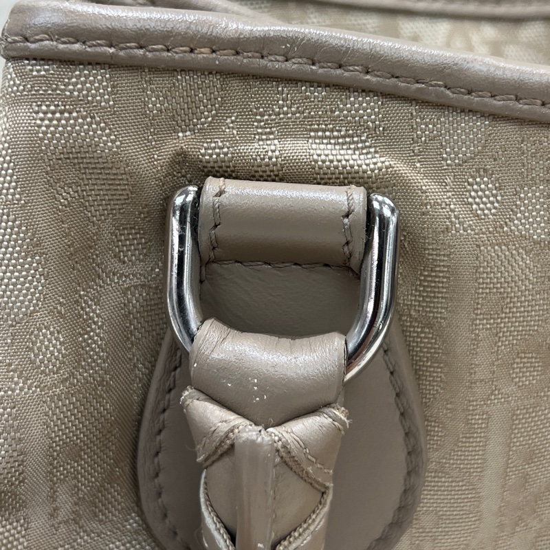 Christian Dior Lovely Trotter 帆布緹花老花托特包。xc559-18