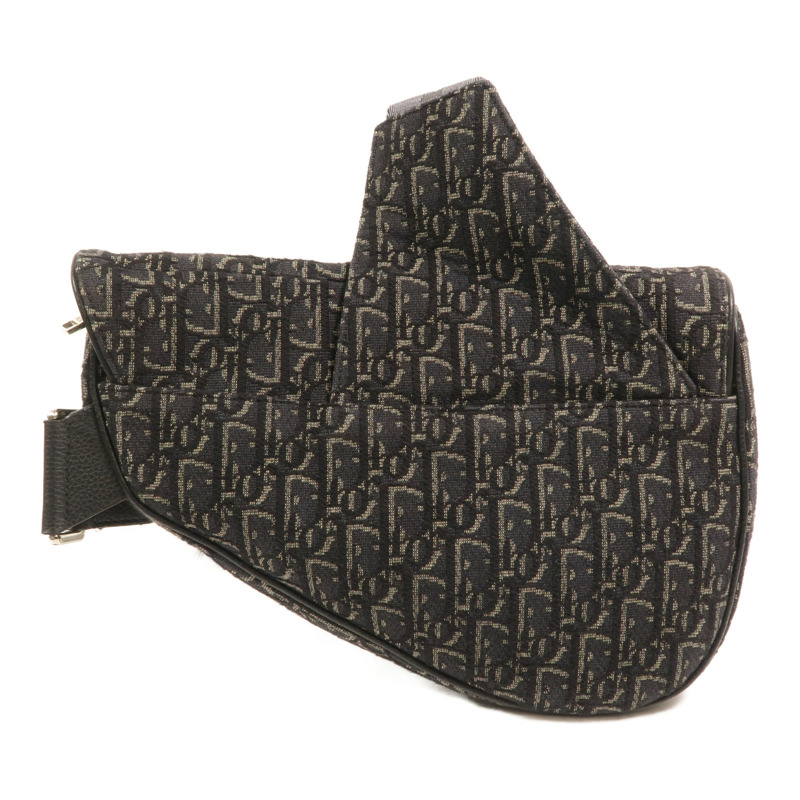 Dior Oblique帆布Saddle肩背袋-1