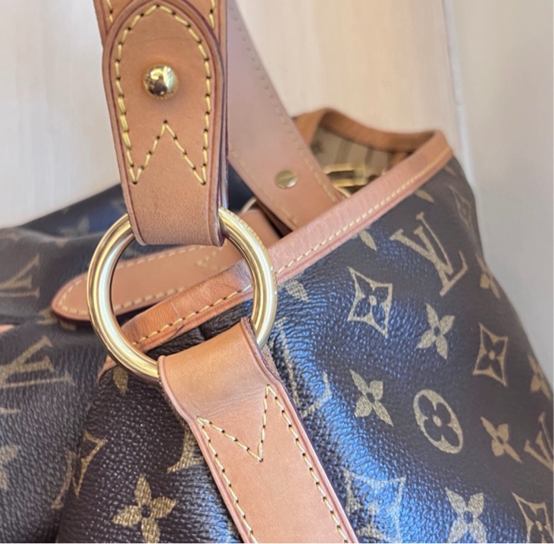 LV Delightful GM 大號 老花 棕色 金扣 托特-16